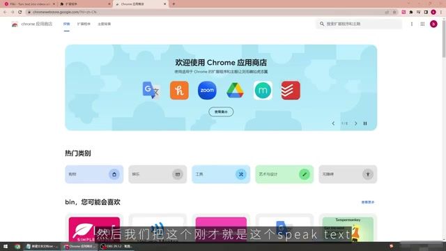 Chrome 应用商店搜索 Speaker Text 插件